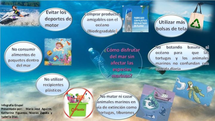 Colombia: ¿CÓMO DISFRUTAR DEL MAR SIN AFECTAR LAS ESPECIES MARINAS?