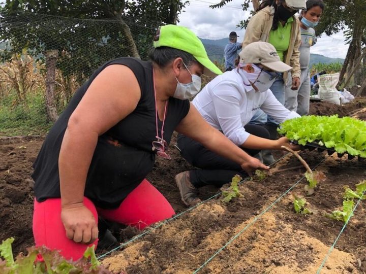 Colombia: en Huila, víctimas y victimarios siembran la paz