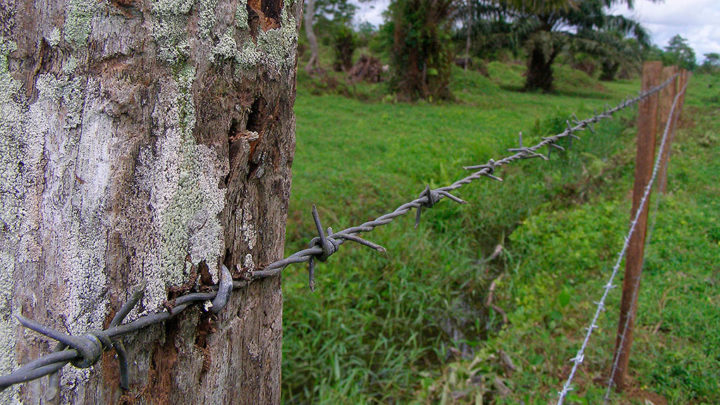 Colombia: En el pasado, nuevo Defensor del Pueblo de Urabá “intimidó” a víctimas de despojo