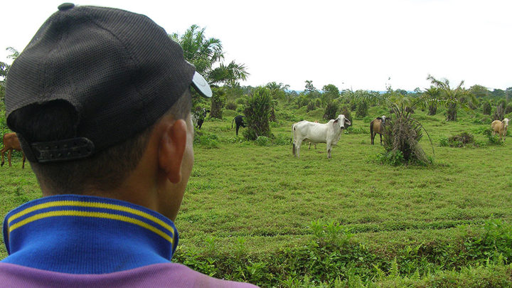 Colombia: En el pasado, nuevo Defensor del Pueblo de Urabá “intimidó” a víctimas de despojo