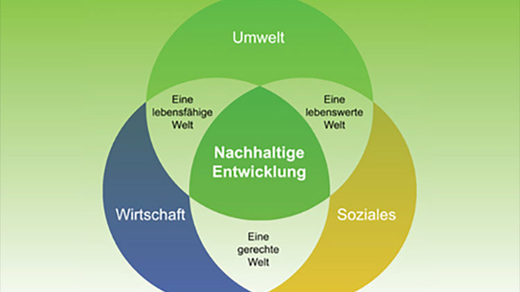 Skizzen zur staatlichen Planung in China und anderen Ländern