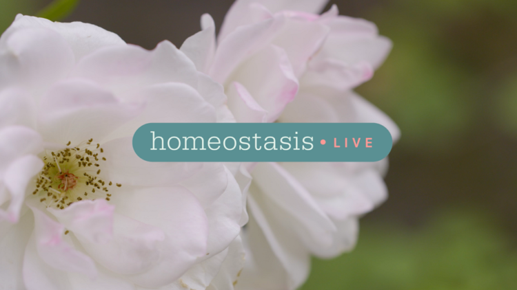 Homeostasis Live