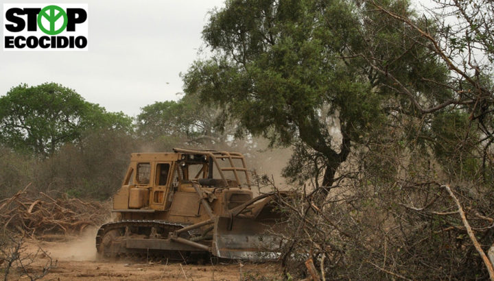 STOP ecocidio