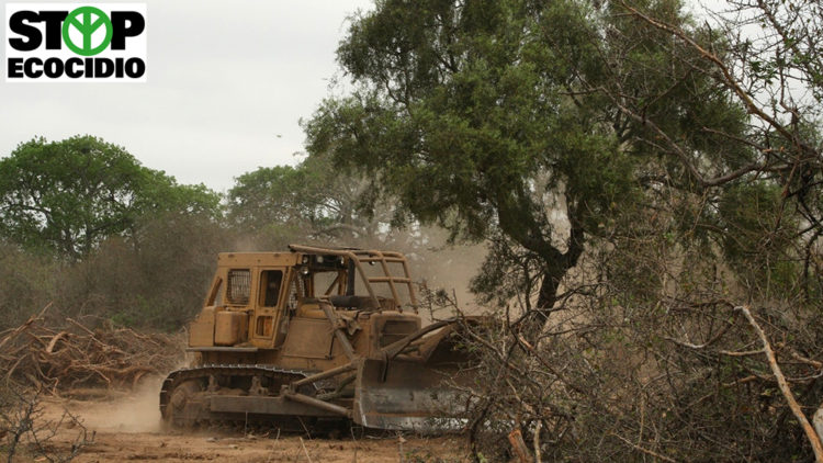 STOP ecocidio