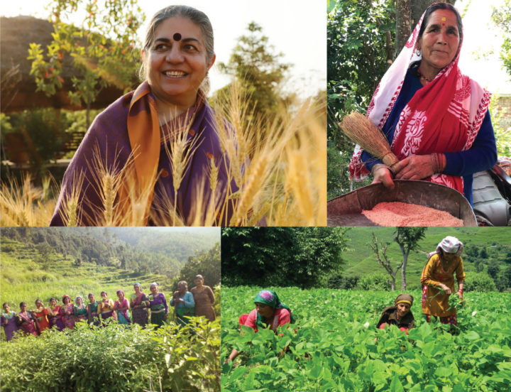 Vandana Shiva: Wer ernährt die Welt wirklich? - Eine Buchrezension