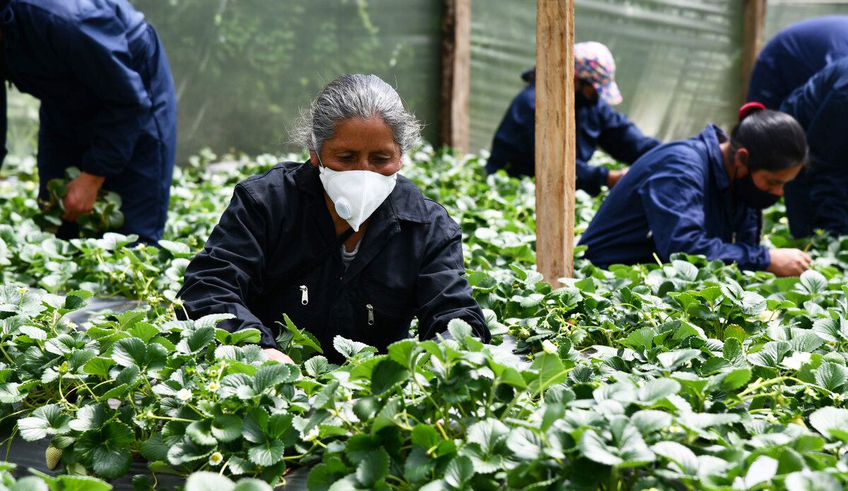 Colombia: en Nariño, forjadores de paz