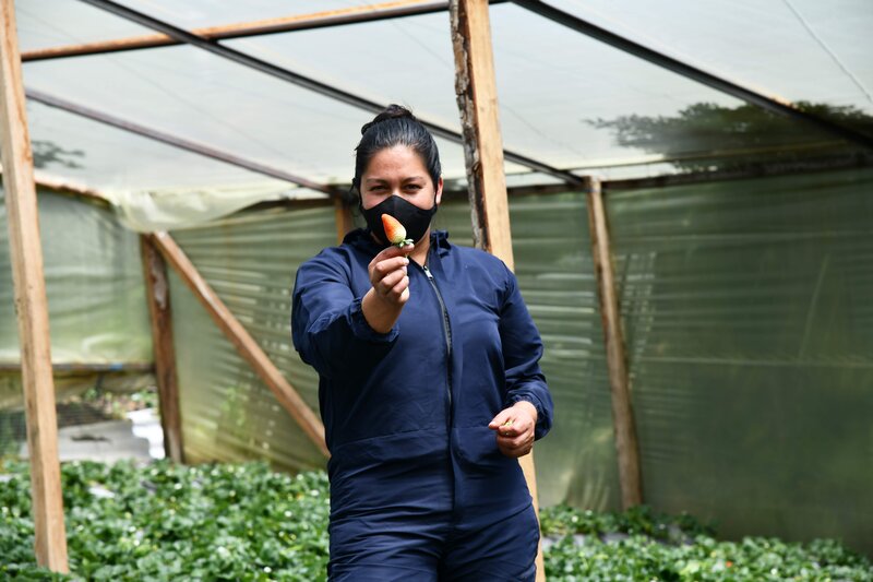 Colombia: en Nariño, forjadores de paz