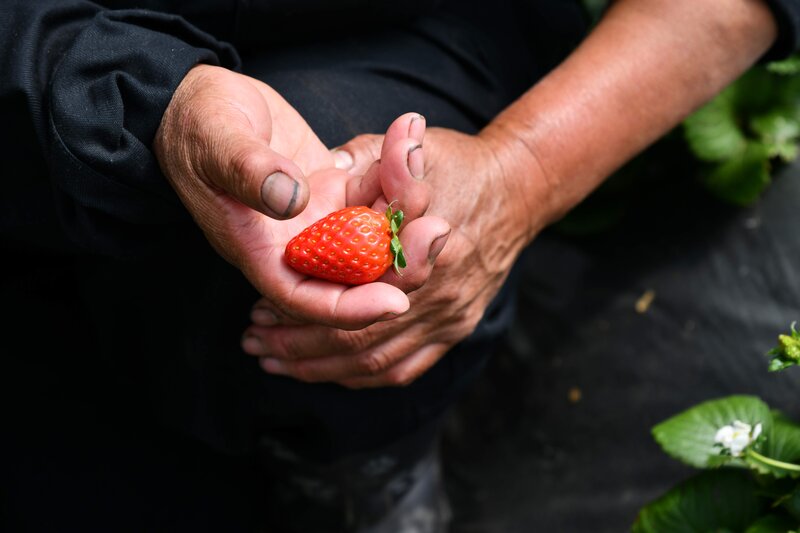 Colombia: in Nariño, peace builders