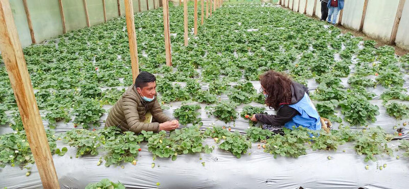 Colombia: en Nariño, forjadores de paz