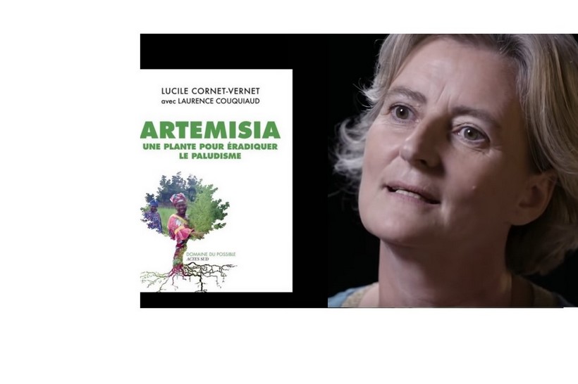 Rencontre avec Lucile Cornet-Vernet, co-auteur de ‘Artemisia, une plante pour éradiquer le paludisme’