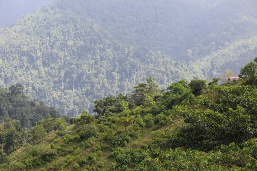 La mistica indigena y su relación con el medio ambiente