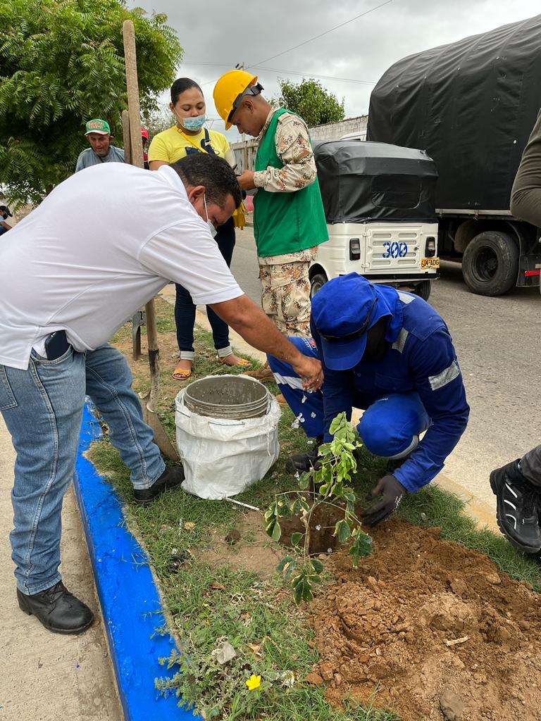 Día Mundial del Árbol en Maicao