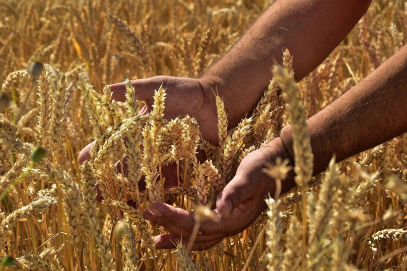 Von Klimaschutz, Ernährungssystemkrise und der katholische Kirche?