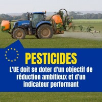 Pesticides