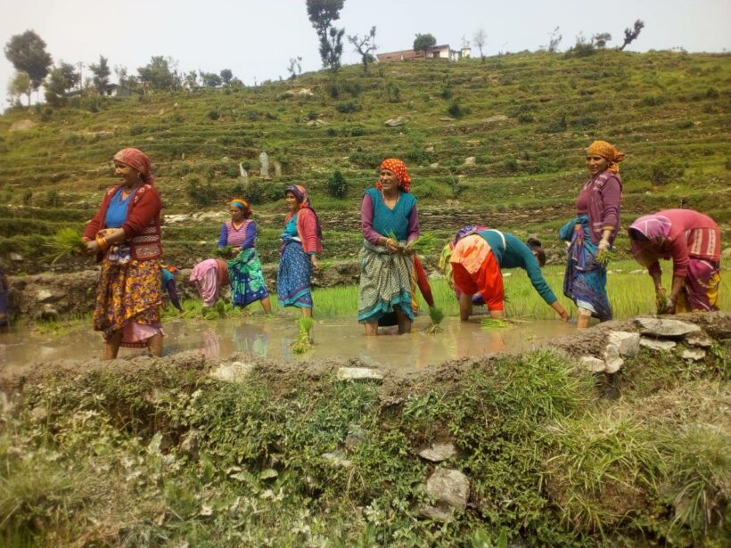 Jaivik Kranti – Eine Revolution für das Leben als Antwort auf den Wassernotstand in Indien