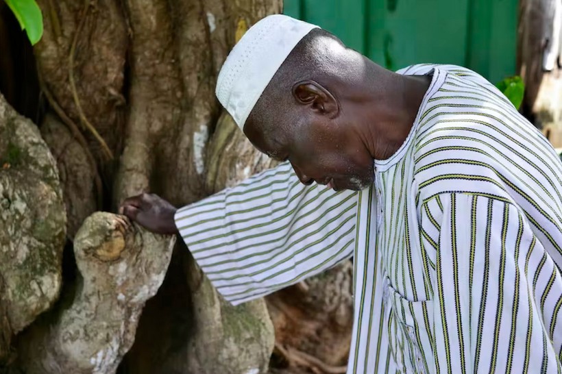 « L’homme qui arrêta le désert », une inspiration pour habiter autrement la Terre