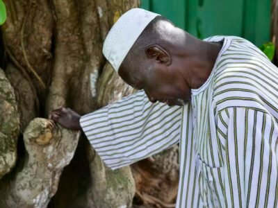 « L’homme qui arrêta le désert », une inspiration pour habiter autrement la Terre